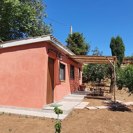 Azienda Agricola Sinisi Cerveteri Quarto foto