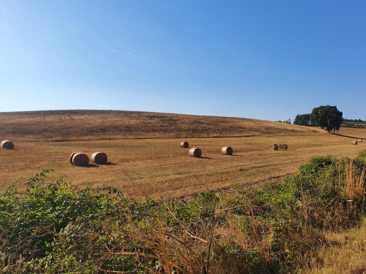 Azienda Agricola Sinisi Cerveteri Exterior foto