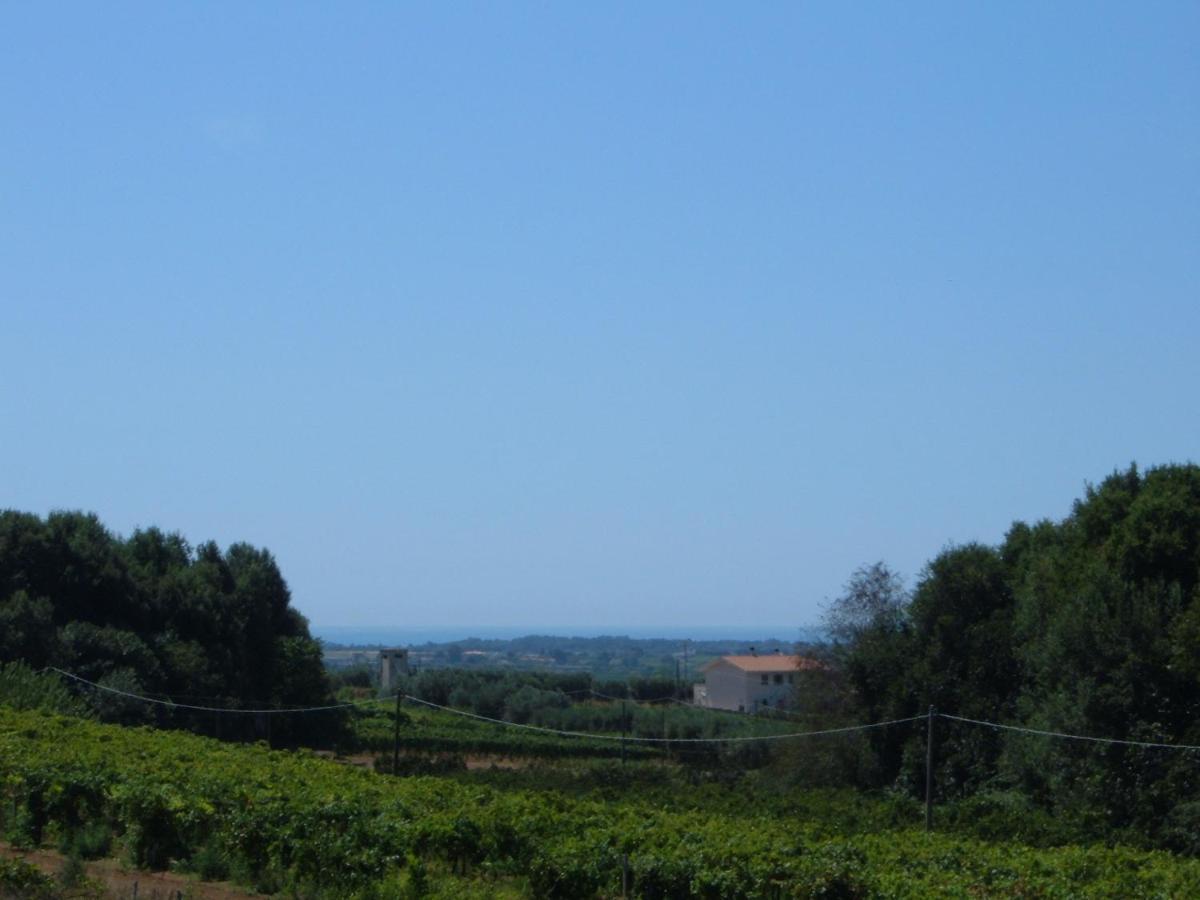 Azienda Agricola Sinisi Cerveteri Quarto foto