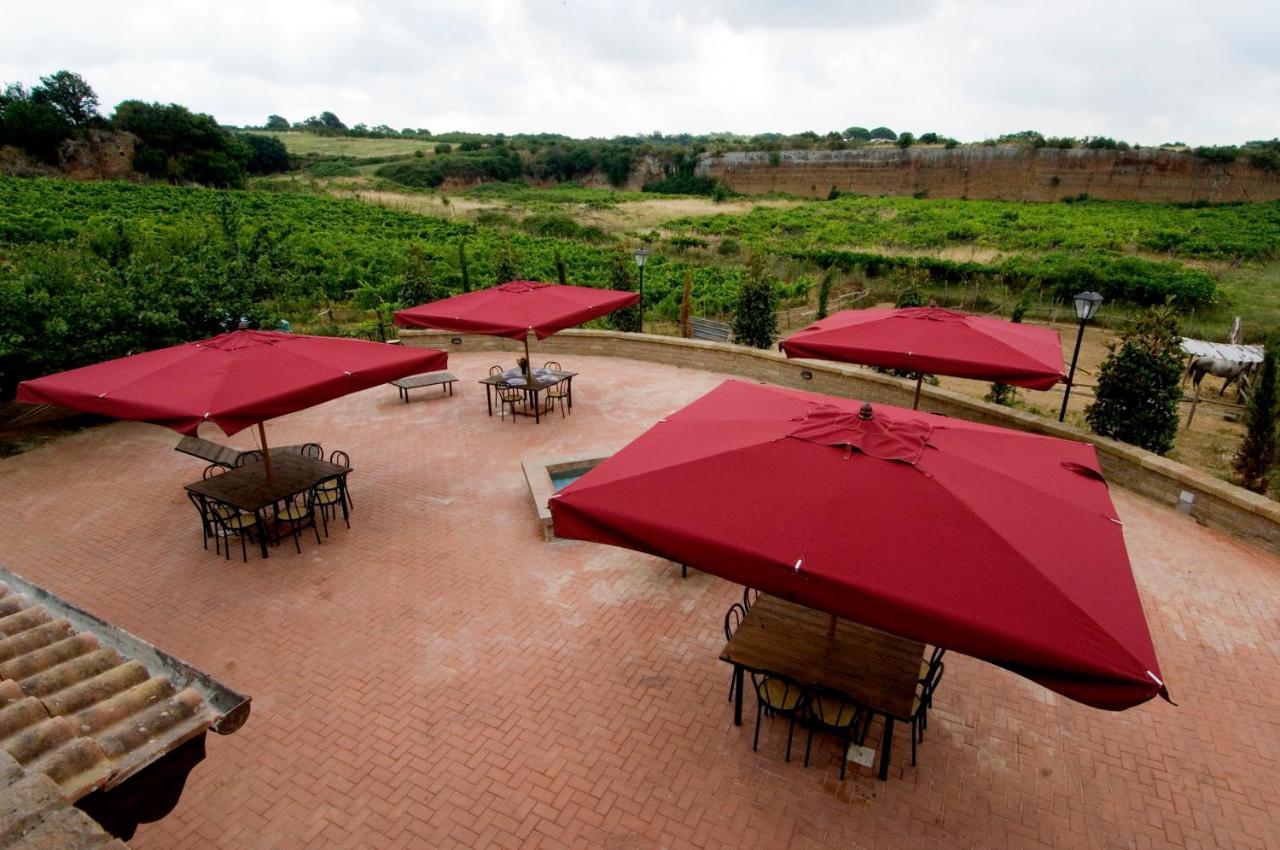 Azienda Agricola Sinisi Cerveteri Quarto foto